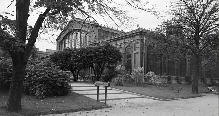The Hivernacle, with the plantations by Lluís Riudor and Joan Pañella i Bonastre, in the sixties. Leopoldo Plasencia. Photographic Archive of Barcelona