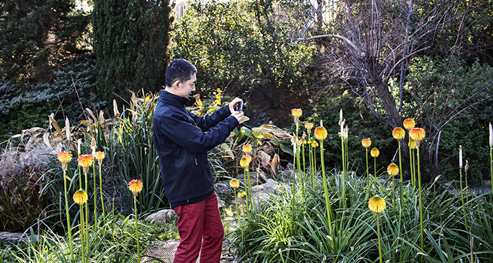 Hombre tomando una fotografía de la vegetación de un parque