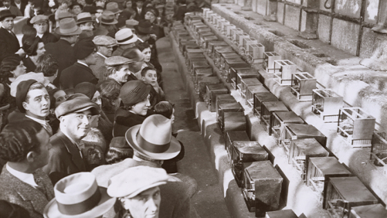 Los visitantes contemplan las jaulas con los pájaros participantes en el concurso de canaricultura celebrado en enero de 1934 en el Invernadero. 