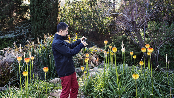 Hombre tomando una fotografía de la vegetación de un parque